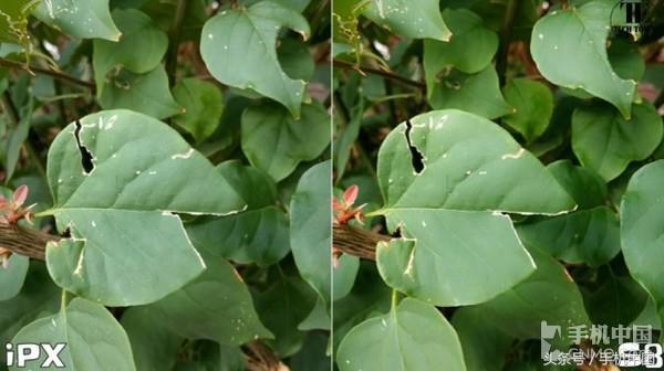 iPhone X與三星S8拍照對比 結(jié)果無懸念？